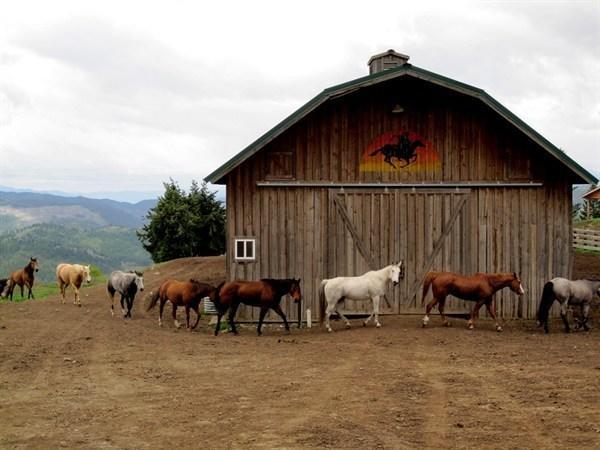 Bull Hill Guest Ranch Hotel Marble Eksteriør billede